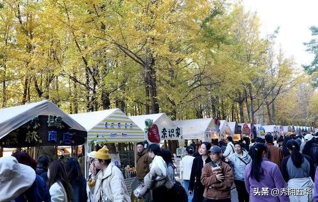 去版筑翠园，在“无尽梦银杏节”中打卡冬日休闲金色盛宴