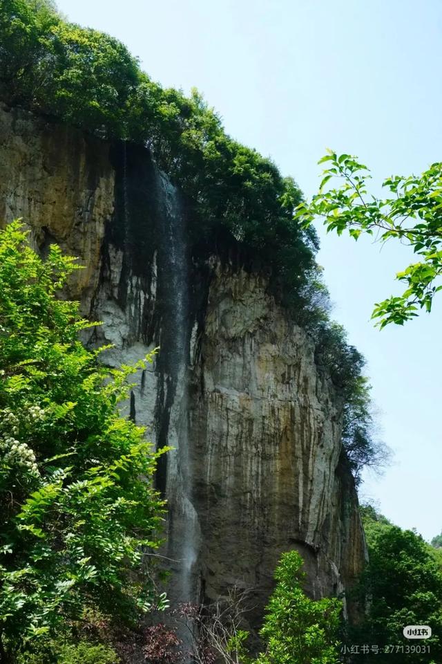 避开人潮！高铁直达20℃冷门小城，花海美过川西、地质景观顶级！16元炫资格美食！