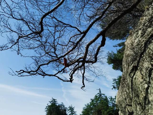“天下无双圣境,世界第一仙山”的河南洛阳老君山
