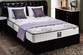 床垫十大品牌 1.美国丝涟 2.美国席梦思 3.中国慕思图片