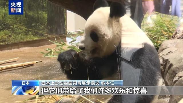 没有回旋余地，中国下令直接收回，17万日本人泪奔，高市闯祸了！