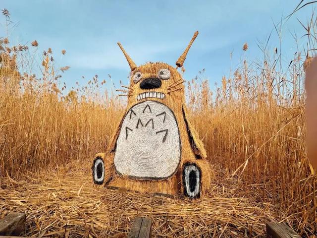 大地艺术与彩叶共绘生态画卷！藏在园博园湿地里的秋日浪漫→