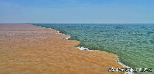 【黄河口生态旅游区】今日立秋