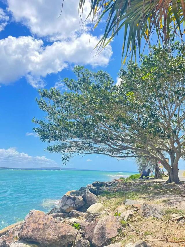 路上·布里斯班 ‖ 又出来赚小时来了