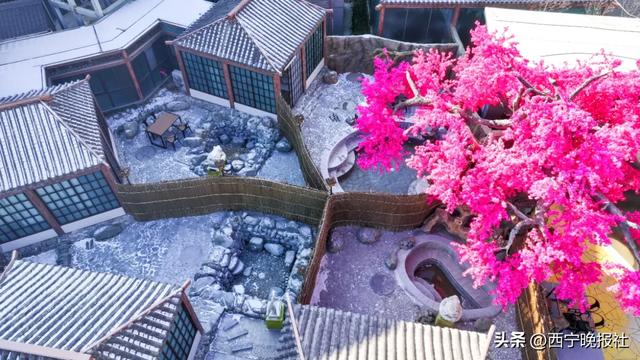 这个冬日,西宁又多了一处休闲打卡地