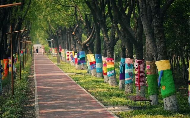 都市绿洲,童话秘境:上海浦江郊野公园完全探索指南