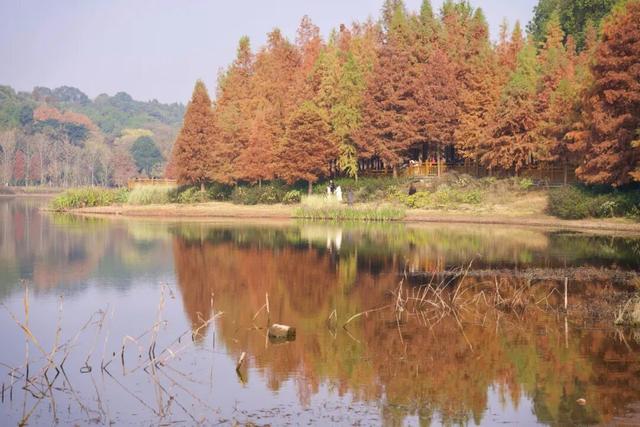 德阳冬日“顶流”！出片率100%！