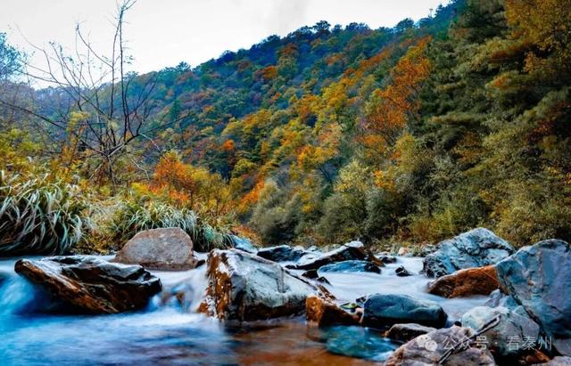 镜瞰秦州·悦秋