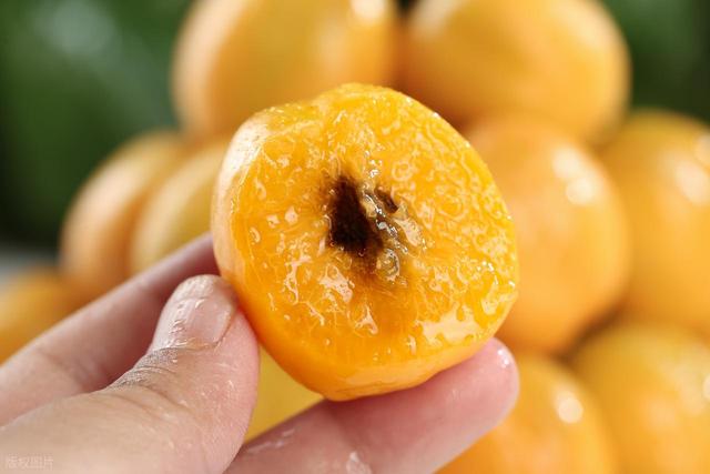 颠覆你的想象！甘肃的绿洲与丰饶（上）：这里远非只有沙漠戈壁