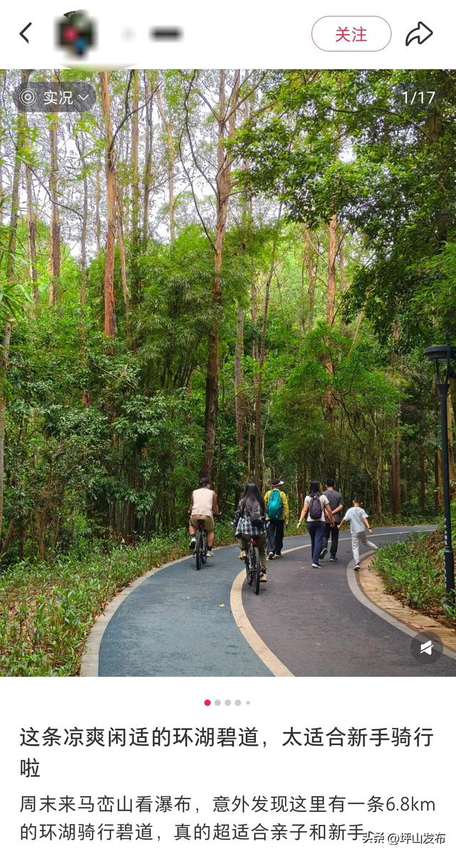 看完你的 看你的，坪山这片格桑花海承包你的秋日治愈感！