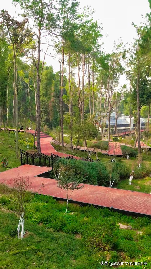 赶紧收藏！森林公园3大玩法新鲜出炉