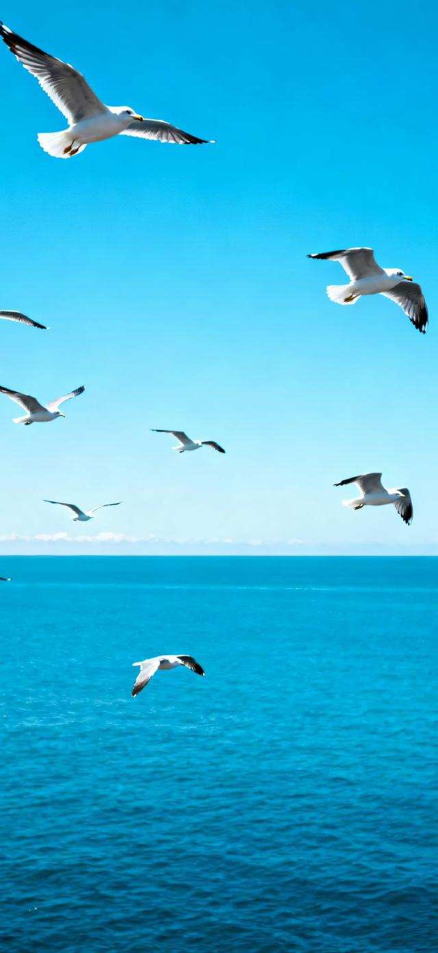 大海壁纸