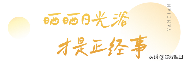 深圳秋日，不太经典但100%让人上头