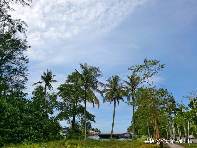 马来西亚(33)砂拉越州⑦美里市加拿大山、海滨公园等