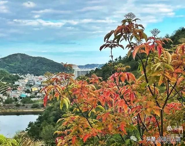 秋风起，浙江这条绝美海岛风光徒步穿越线路，可以安排了！