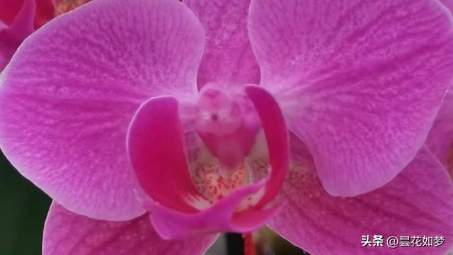 退休了咋不享清福？我带老伴摩旅3年	，发现3个“绊脚石	”特真实