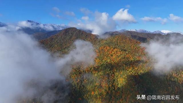 官鹅沟秋韵正浓：瀑布飞虹、彩林漫道，等你来打卡