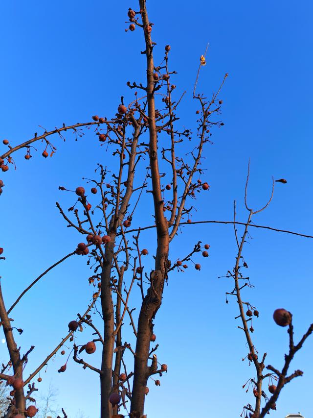 旧时光里的温暖，是奶奶的土药方