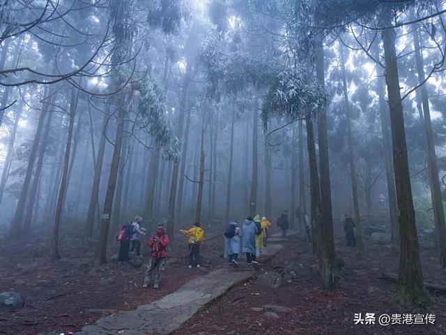 平天山美成了银装素裹的童话世界！贵港人：冷到发抖也要去