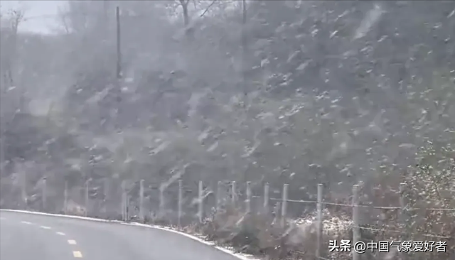冬天来了：北方多地出现少见绿叶雪，广东等地即将大降温10度
