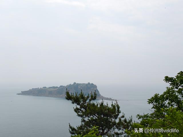 大连海之韵公园·棒槌岛