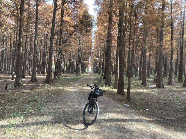 骑游来安半塔釜山水库池杉林生态园攻略