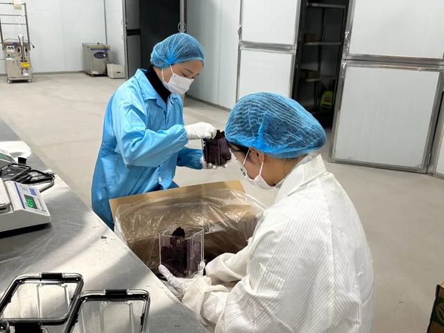 程凤麟：把大理的花香打包给全世界