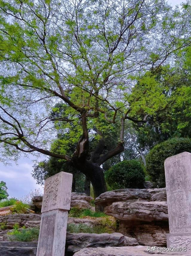站在故宫最佳观景台，一眼看尽600年，画面太震撼！