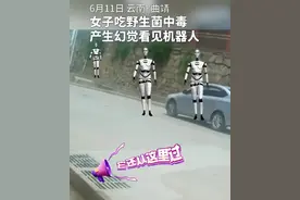 笑不活了！云南一女子吃野生菌中毒产生幻觉：家里有机器人偷东西图片