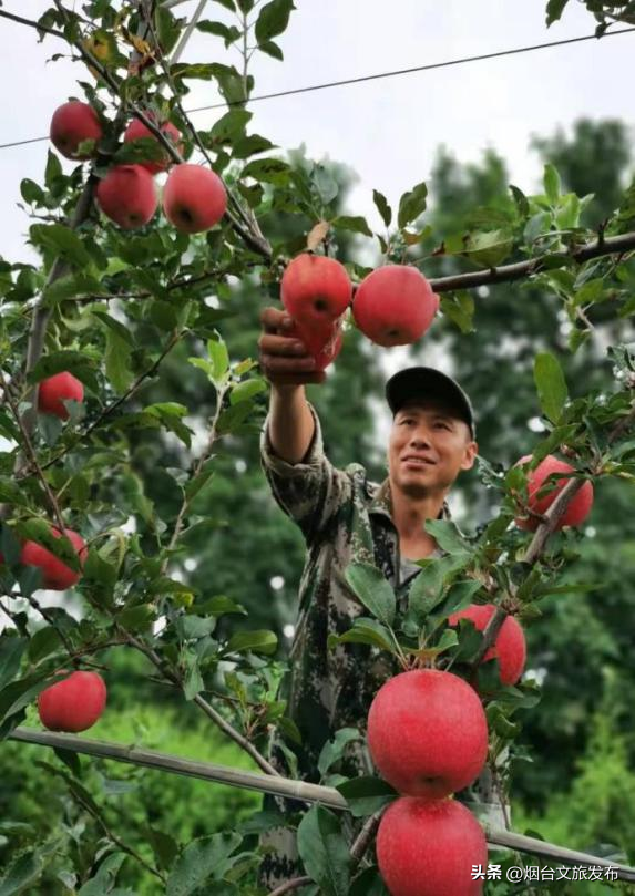 【乐游烟台】周末好去处丨任贤齐开唱+神仙秋景，烟台太好玩了