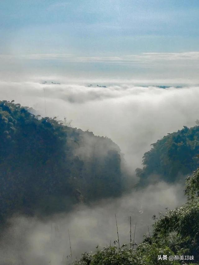 聆听邛崃丨漫步川西竹海秋日仙境