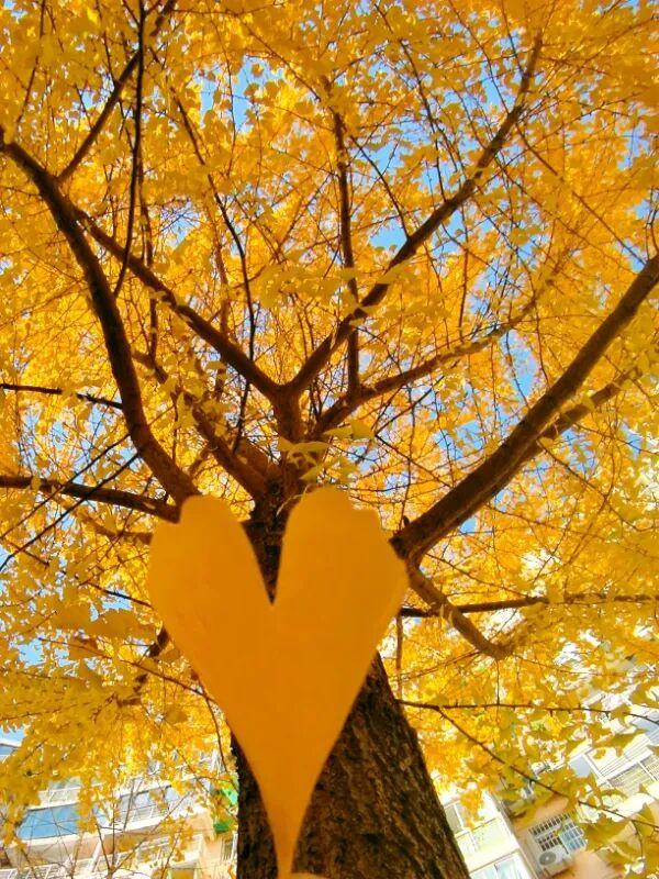 在汉阳的秋天，捡出一个灵感宝库