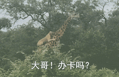 医生的发型有多重要，哈哈哈哈换个发型立马变成了很有经验的样子