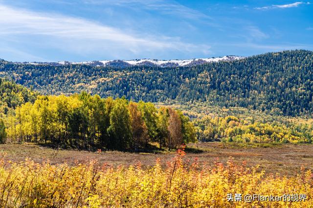 我的阿勒泰之旅（3）