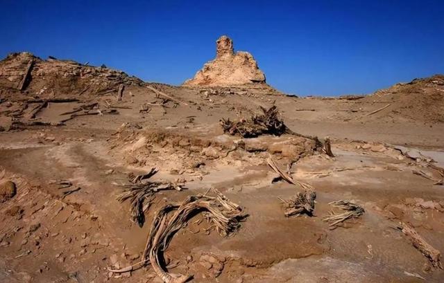 美国专家：这县城必成罗布泊！4万年轻姑娘不信邪，直接杀到沙漠