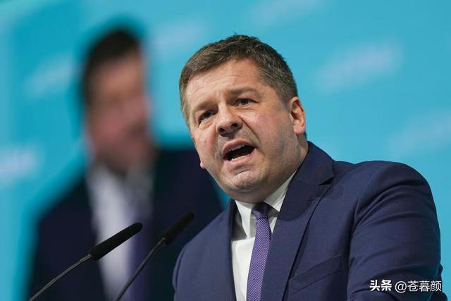 欧洲车企排队签字，德国：我们把中国想太好，荷兰接管安世没有错