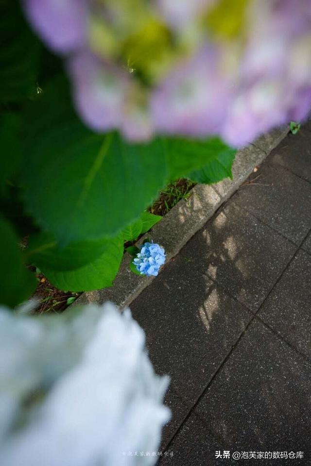 索尼/尼康用户有福了！腾龙16-30mm F2.8体验 轻量风光视频必备