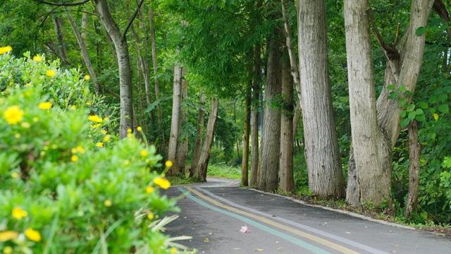 最快30分钟!河滩玩水、捉鱼虾、划竹筏…没有门票!