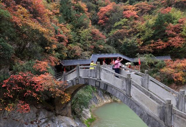 这才是秋天该有的样子~