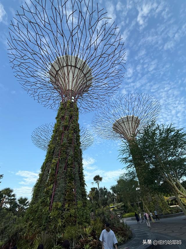 2025暑假 新加坡顺道游（二）