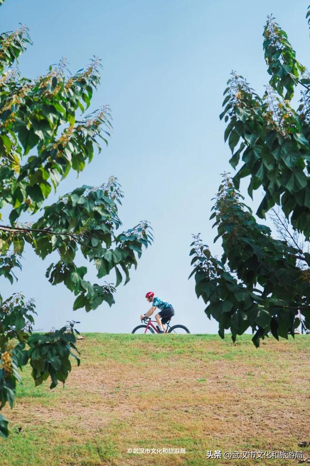 会玩的武汉人，都回村过秋天了