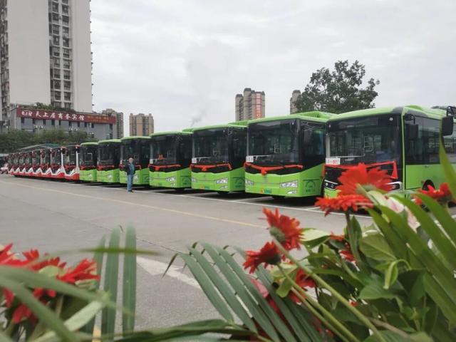 沐川“三免”文旅福利：诚意满满“请客”，如何把好意变成好评？