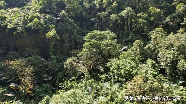 亲测！超好玩的广西百色冷门线路，还可打卡张馨予同款秘境！