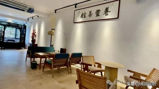 湾里揽胜:蟠龙峰下茶养云