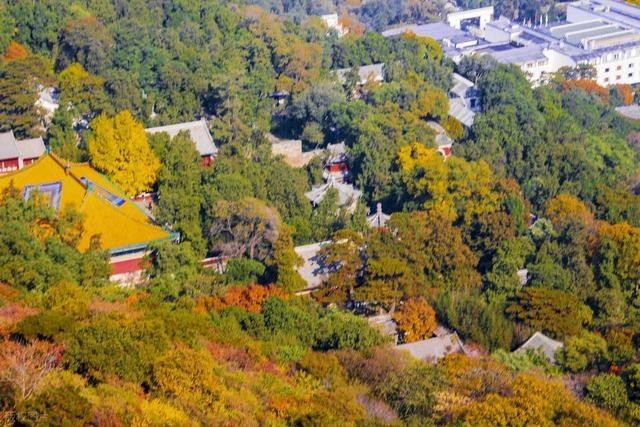 60岁之后一定要去一次！北京对老人免票的20+景点，不花钱还好玩