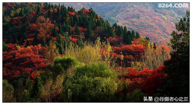 山东行游影记（19）—济南红叶谷