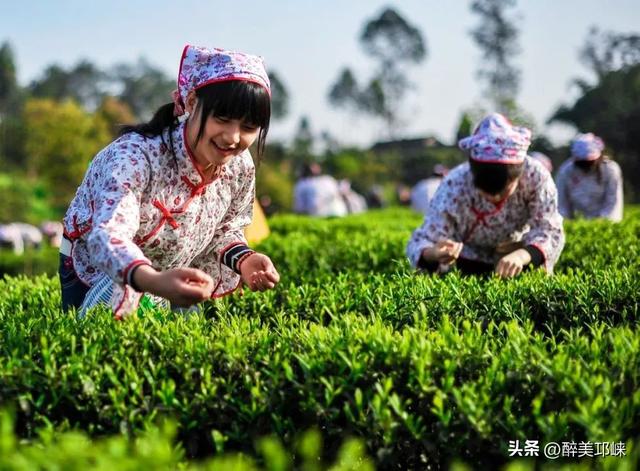 秋崃｜在邛崃，空气里留着千年时光的印记