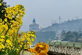 去哪儿：清明火车票开售“2小时高铁圈”当红图片