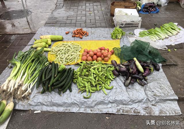 冒雨参观满洲里市博物馆和沙俄监狱陈列馆，铁道桥上看晚霞超美