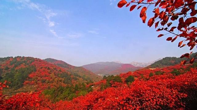 山西又“红”啦！金秋时节，这4处绝美赏叶地千万别错过！
